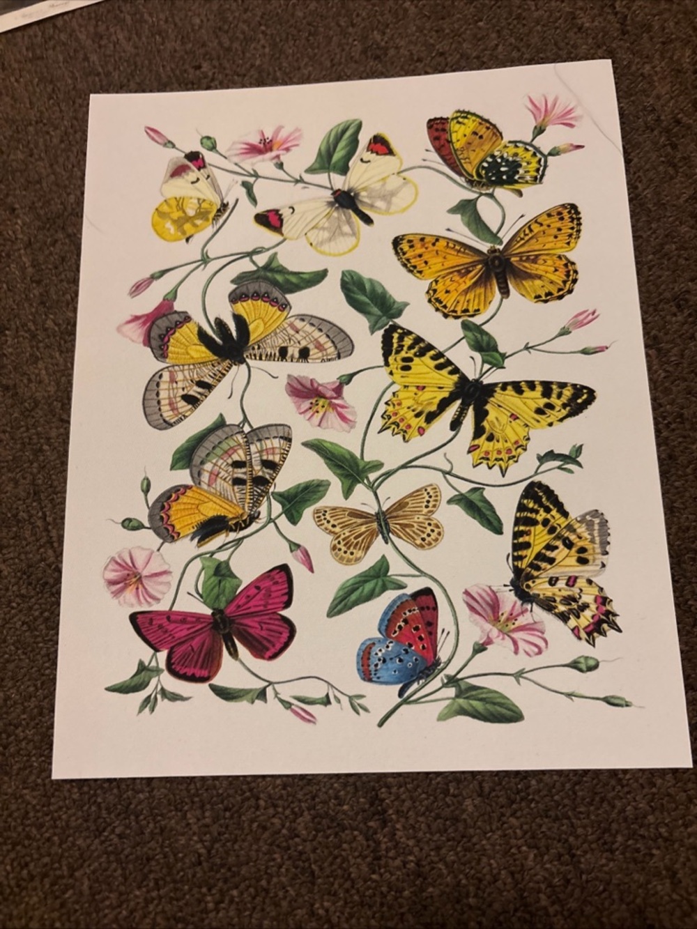 Wall decor - Picture 2 of 16
